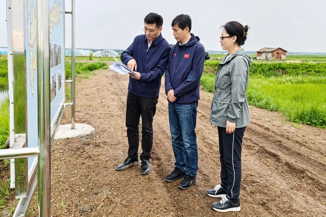 省厅赴齐齐哈尔市暗访中央生态环境保护督察通报典型案例整改情况