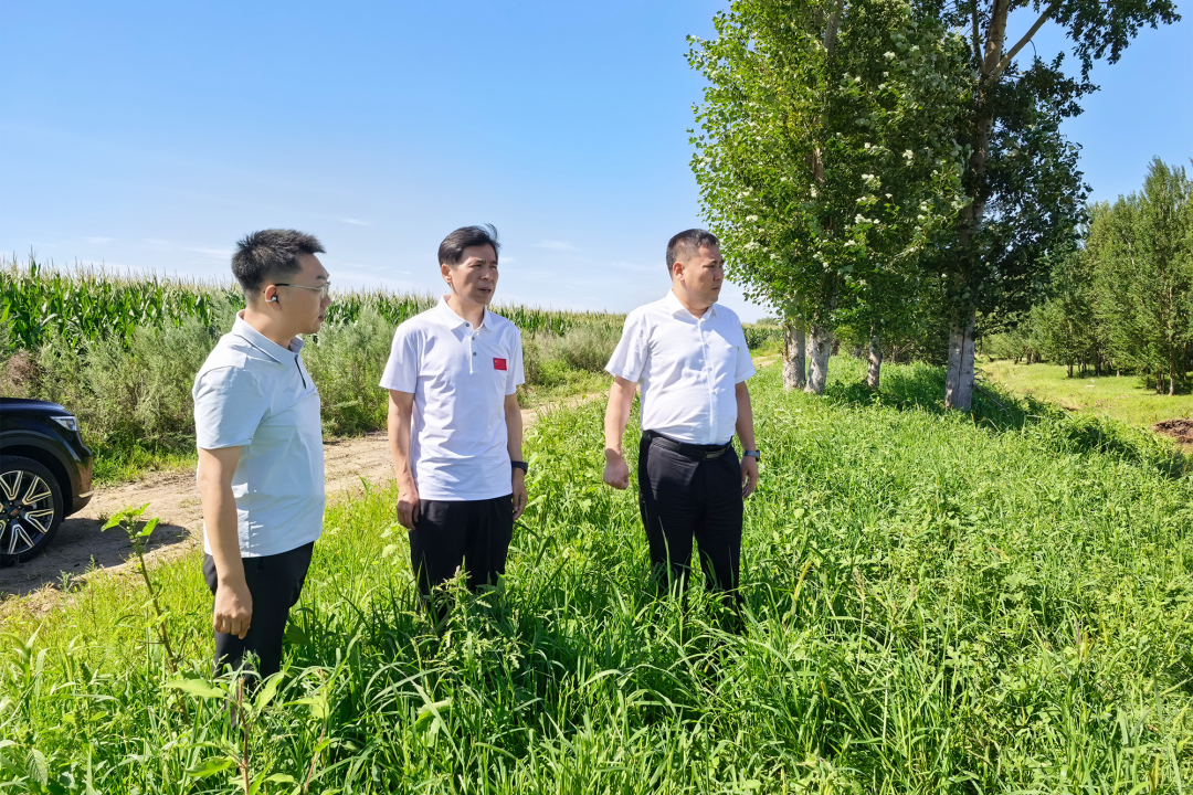 省厅赴佳木斯市暗访群众身边突出生态环境问题整治情况