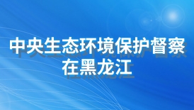 中央生态环境保护督察在黑龙江
